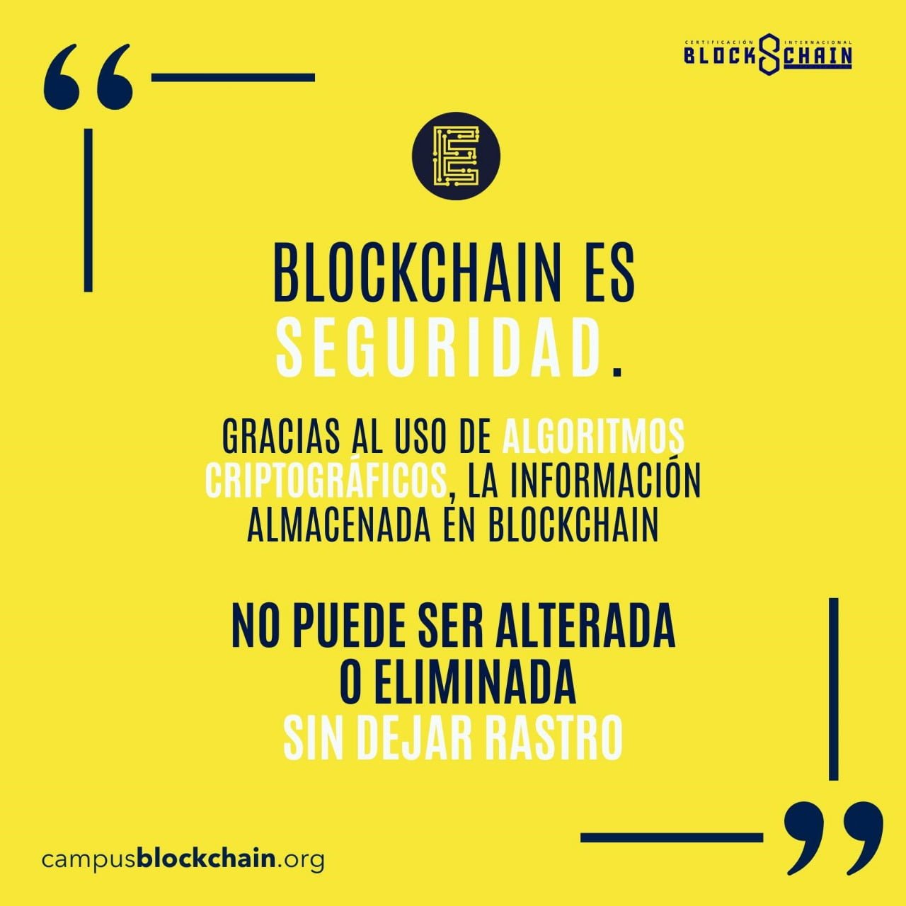 WhatsApp Image 2024-03-08 at 4.09.45 PM (3)