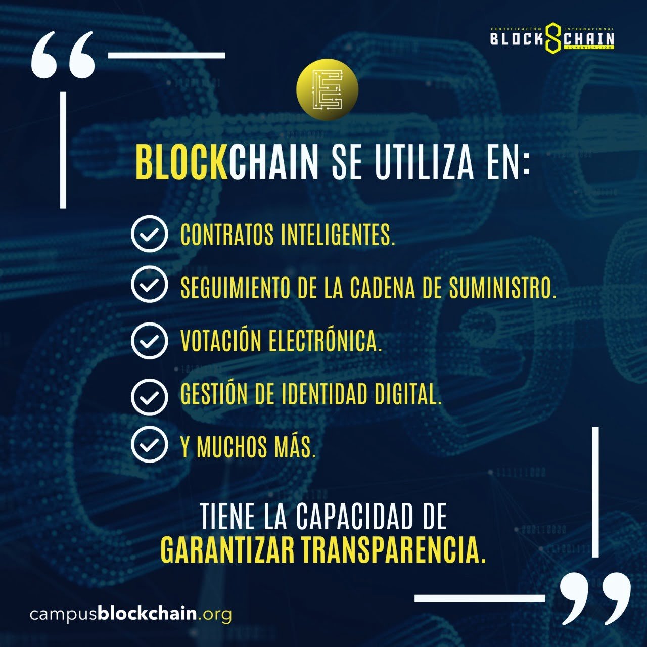 WhatsApp Image 2024-03-08 at 4.09.45 PM (5)